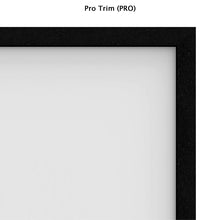 Load image into Gallery viewer, Da-Lite Da-Snap Fixed Frame 106&quot; (52&quot; x 92&quot;) HDTV [16:9] 39107V - HD Progressive 1.1