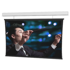 Da-Lite Tensioned Wireline Advantage 189" (100" x 160") Widescreen [16:10] 29239G - HD Progressive 1.1 Flangeless