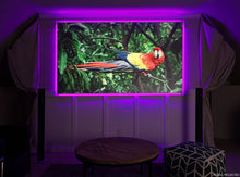 Load image into Gallery viewer, EPV Screens Polar Star® eFinity(ALR) Gain (1.3) Fixed Frame 110&quot; (53.9x95.9) HDTV [16:9] EF110H-PST
