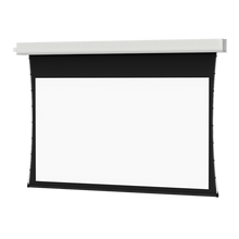 Load image into Gallery viewer, Da-Lite Advantage Tensioned 123&quot; (65&quot; x 104&quot;) Widescreen [16:10] 20848LS - Da-Mat 1.0