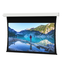 Load image into Gallery viewer, Da-Lite Advantage Tensioned 123&quot; (65&quot; x 104&quot;) Widescreen [16:10] 20848LS - Da-Mat 1.0
