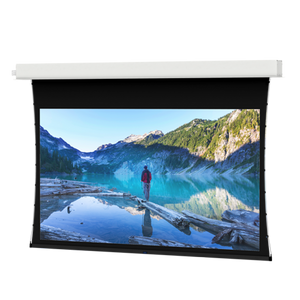 Da-Lite Advantage Tensioned 123" (65" x 104") Widescreen [16:10] 20848LS - Da-Mat 1.0