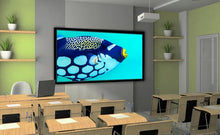 Load image into Gallery viewer, Stewart Filmscreen WallScreen Deluxe Fixed Frame 176&quot; (69&quot;x162&quot;) CinemaScope [2.35:1] WSDQ176SFHG5EZX