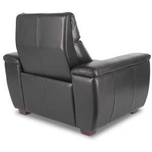 Bass Ind Paris Power Recliner