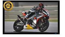 Load image into Gallery viewer, Stewart Filmscreen WallScreen Deluxe Fixed Frame 176&quot; (69&quot;x162&quot;) CinemaScope [2.35:1] WSDQ176SFHG5EZX