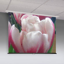 Load image into Gallery viewer, Draper Access M [HDTV 16:9] Manual Projection Screen 133&quot; (65&quot; x 116&quot;) 197066EC