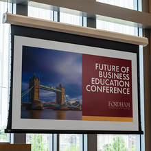 Load image into Gallery viewer, Draper Ropewalker [HDTV 16:9] Electric Retractable Projection Screen 100&quot; (49&quot; x 87&quot;) 150005FB